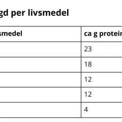 Tabell visar proteinmängd per 100g för animaliska livsmedel. Kycklingfilé har mest protein, en viktig protein byggsten.
