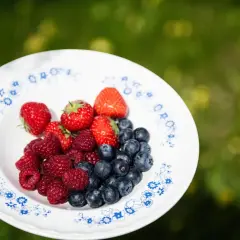 En tallrik med färska jordgubbar, hallon och blåbär. Ett hälsosamt och gott mellanmål direkt från naturen.