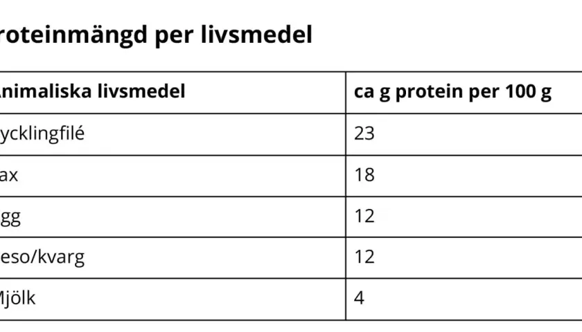 Tabell visar proteinmängd per 100g för animaliska livsmedel. Kycklingfilé har mest protein, en viktig protein byggsten.
