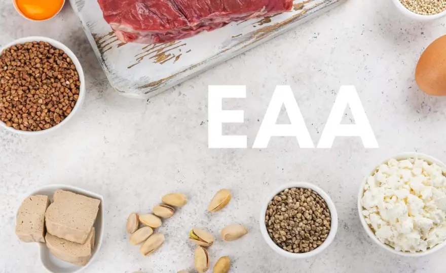 Protein, EAA, BCAA - Välj rätt för dina mål!