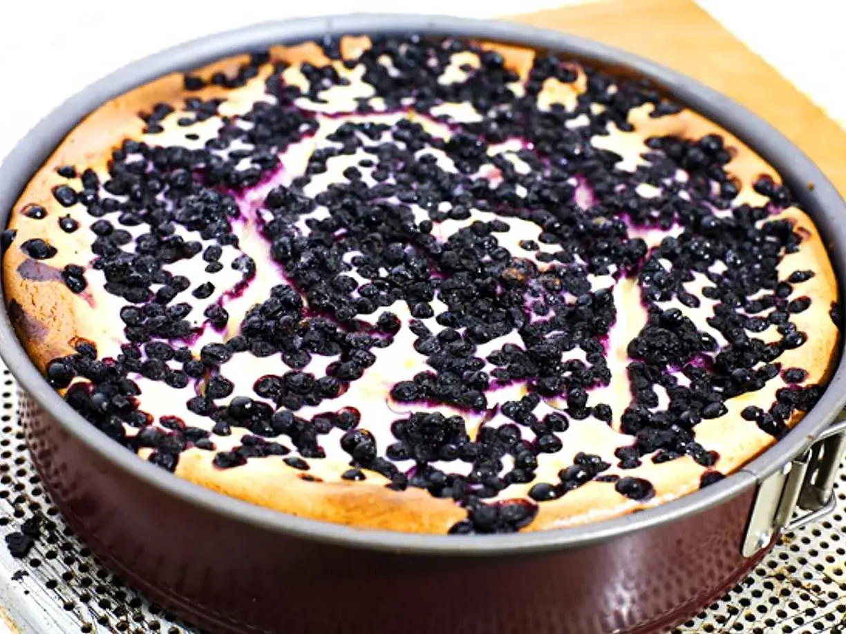 En nybakad blåbärscheesecake i en form. En perfekt nyttig cheesecake för fika.