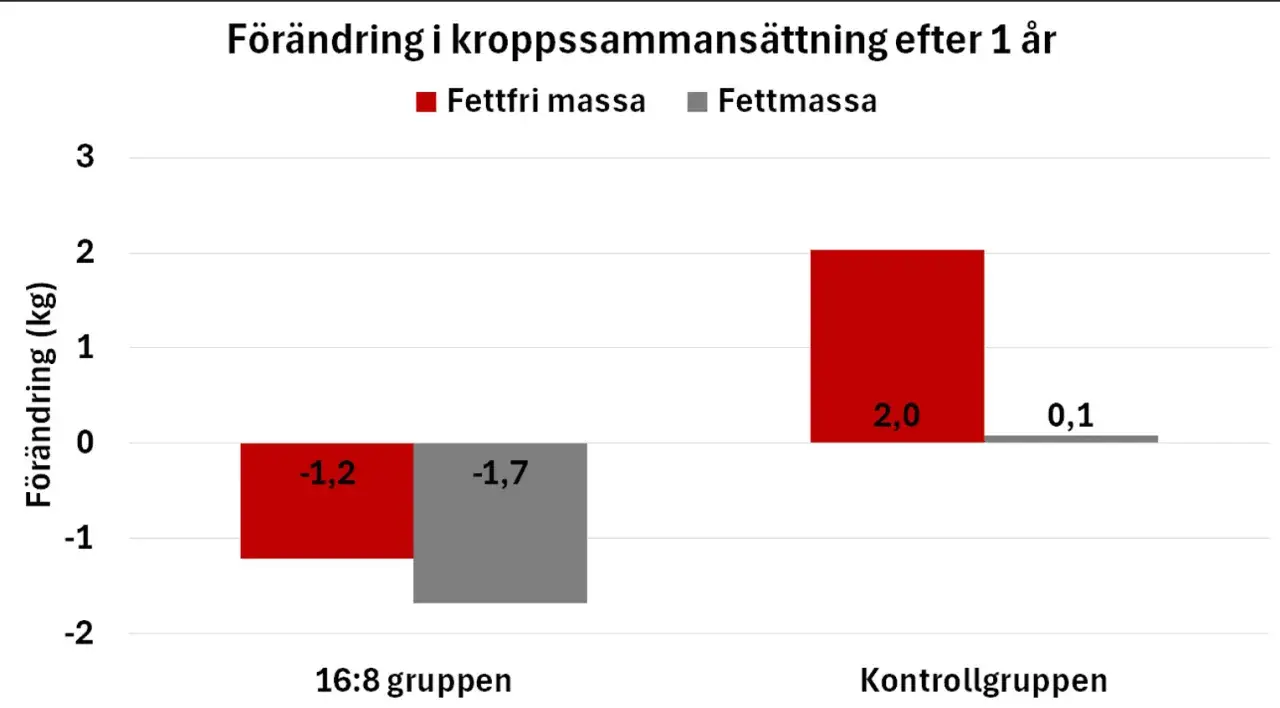 Stapeldiagram visar att periodisk fasta (16:8) minskade fettfri massa med 1,2 kg och fettmassa med 1,7 kg efter ett år. Kontrollgruppen ökade fettfri massa med 2,0 kg och fettmassa med 0,1 kg.