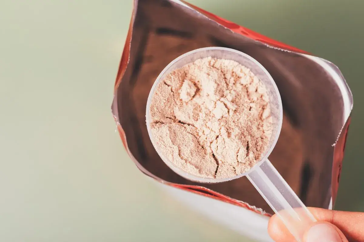 En skopa proteinpulver tas ur en påse. Frågan är om man går upp i vikt av proteinpulver.
