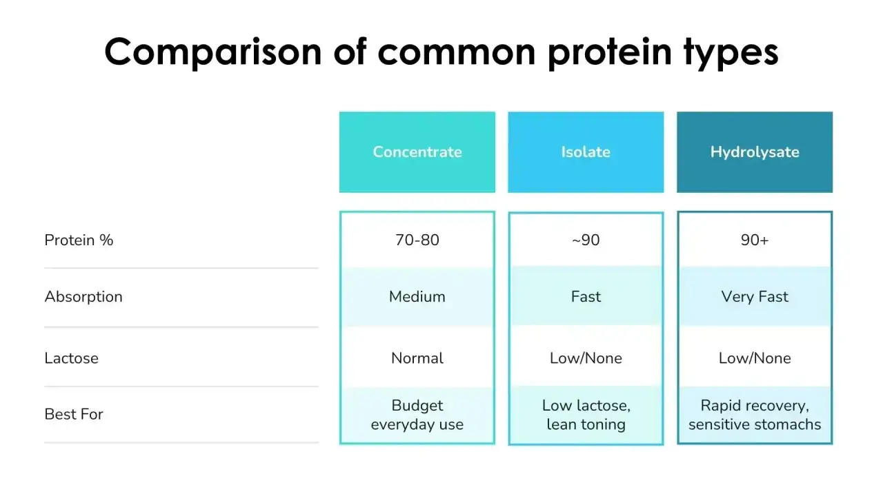 J&auml;mf&ouml;relse av proteinpulver: whey 100 vs 80. Tabell visar proteinhalt, absorption, laktos och b&auml;st f&ouml;r.