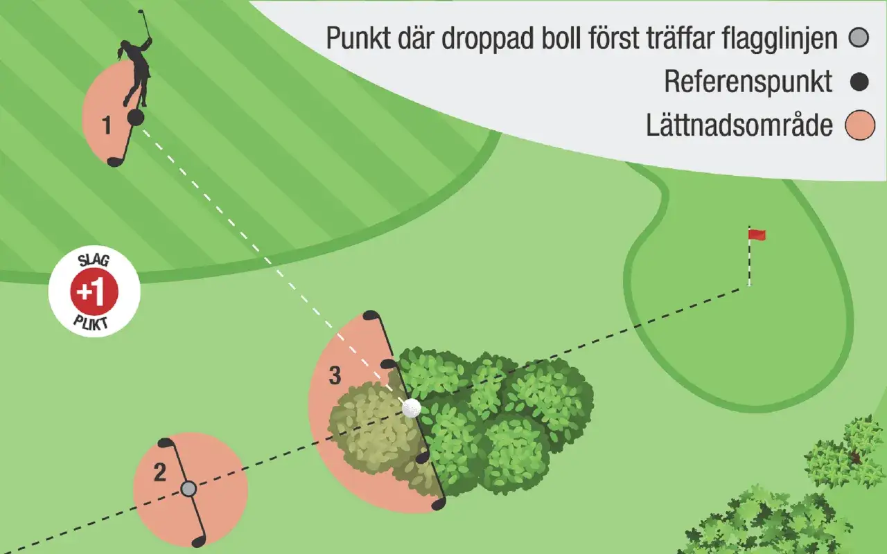 Illustration av golfspelare som sl&aring;r, med markerade punkter f&ouml;r korrekt dropp golf. En boll ligger i buskarna.