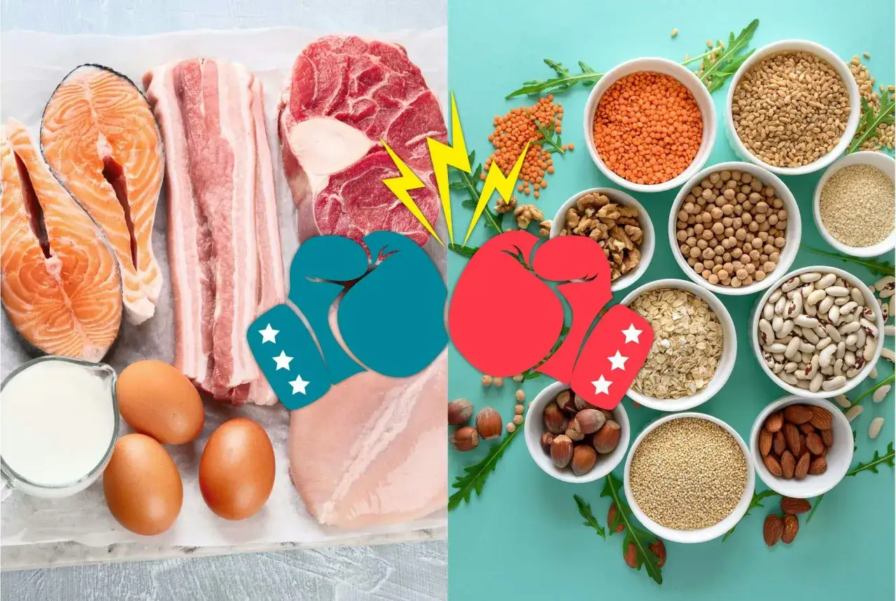 Kamp mellan animaliska och vegetabiliska proteink&auml;llor. Lax, k&ouml;tt, kyckling, &auml;gg och mj&ouml;lk m&ouml;ter linser, n&ouml;tter, b&ouml;nor och fr&ouml;n &ndash; alla viktiga som protein byggsten.
